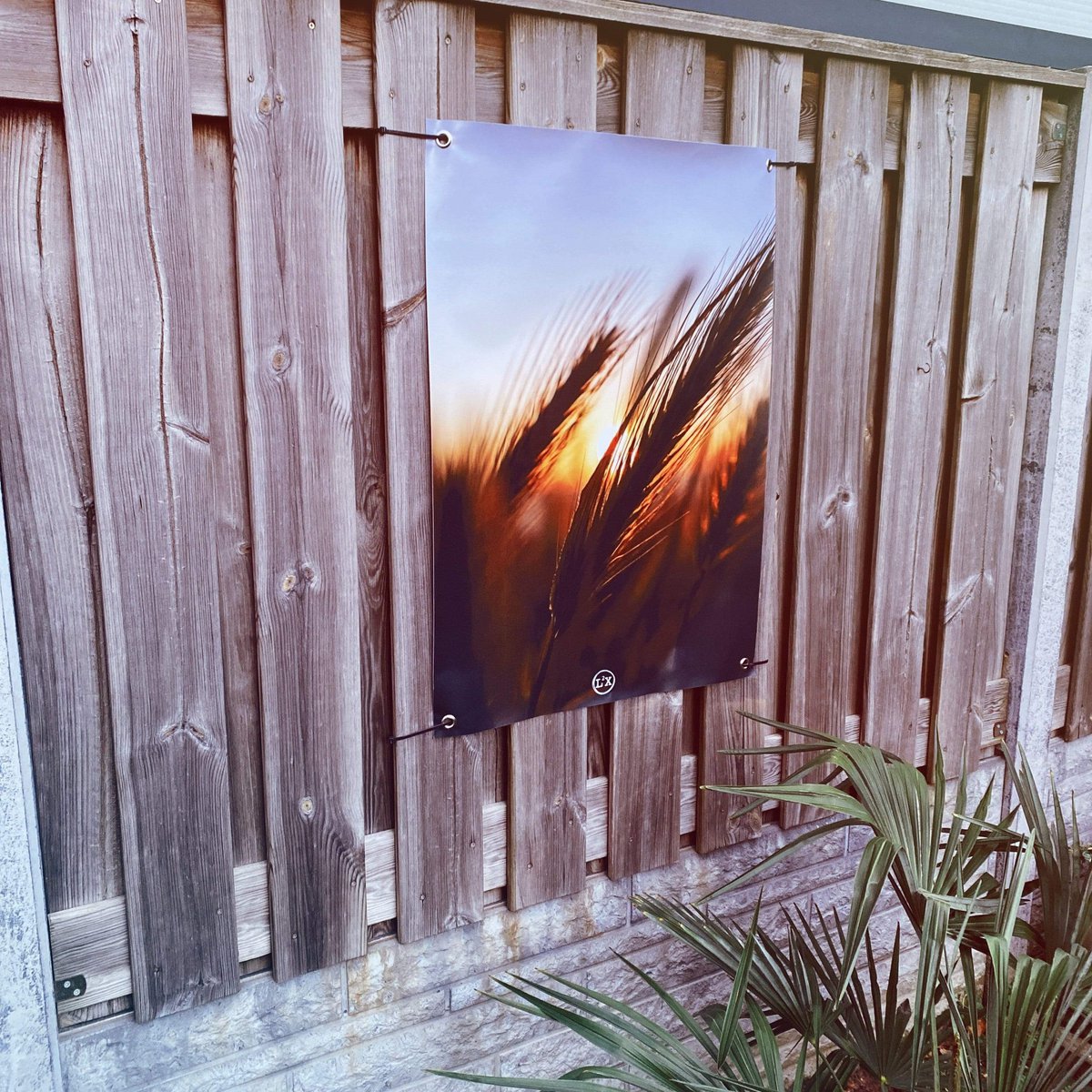 Garden poster grass