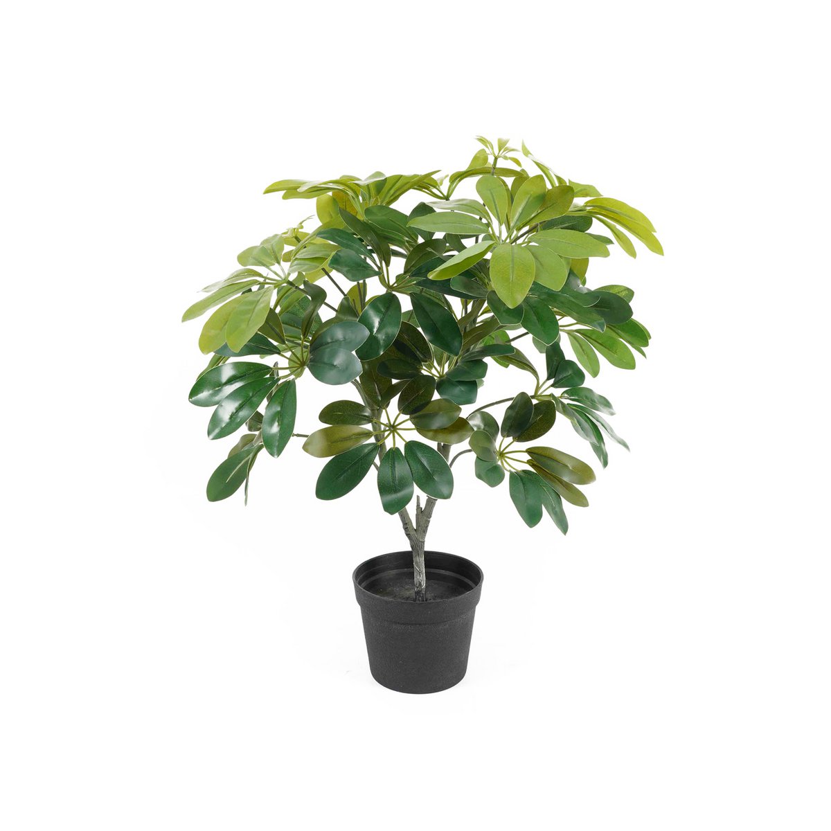 Kunstplant Schefflera 40x48 cm groen plastic