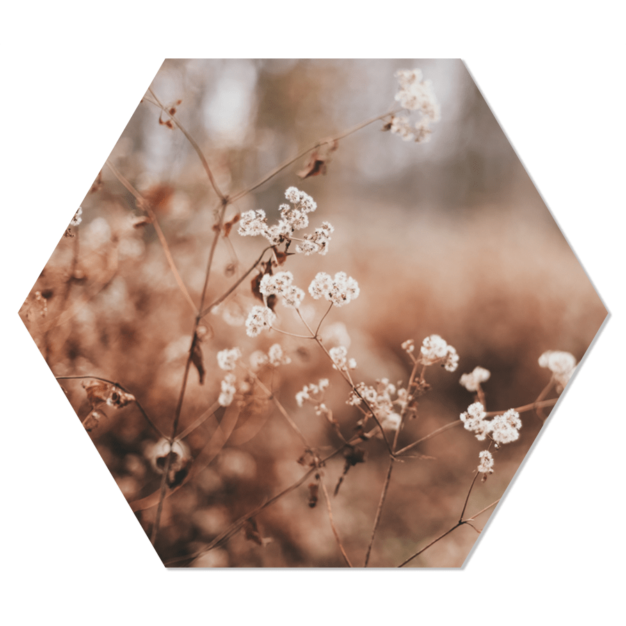 Muurdecoratie hexagon 24x20 cm wit