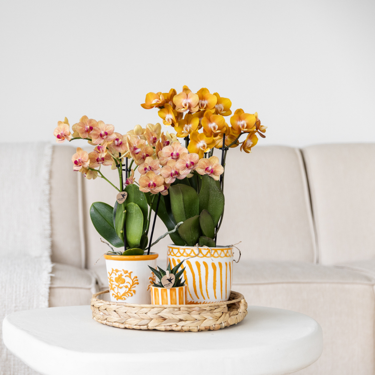 Sierpot keramiek oranje Ø9 cm