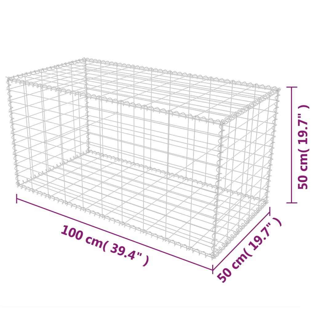 Gabion mand 100x50x50 cm gegalvaniseerd staal 100 x 50 x 50 cm