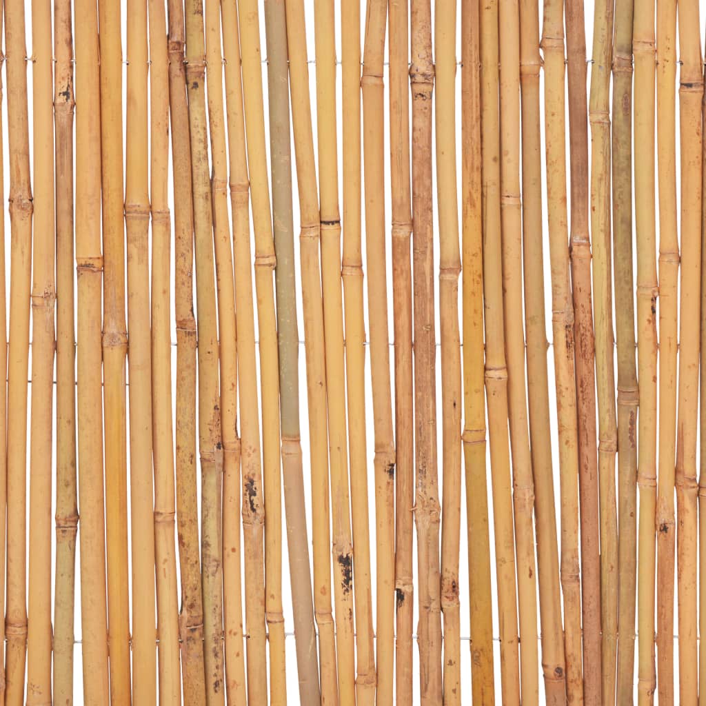 Scherm Bamboe 500 x 50 cm