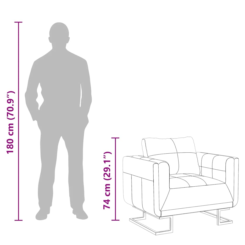 Fauteuil Met Verchroomde Poten Kubus Kunstleer 1