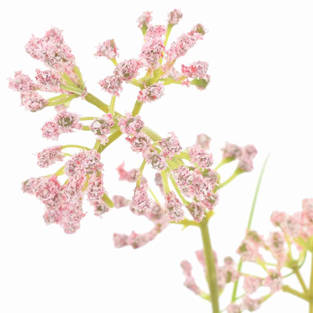 Kunstmatige Flora Kunststof