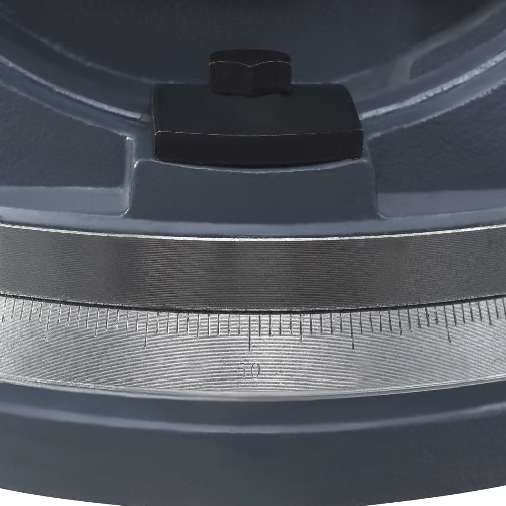 Bankschroef Met 2 Assen Kantelbaar 160 mm