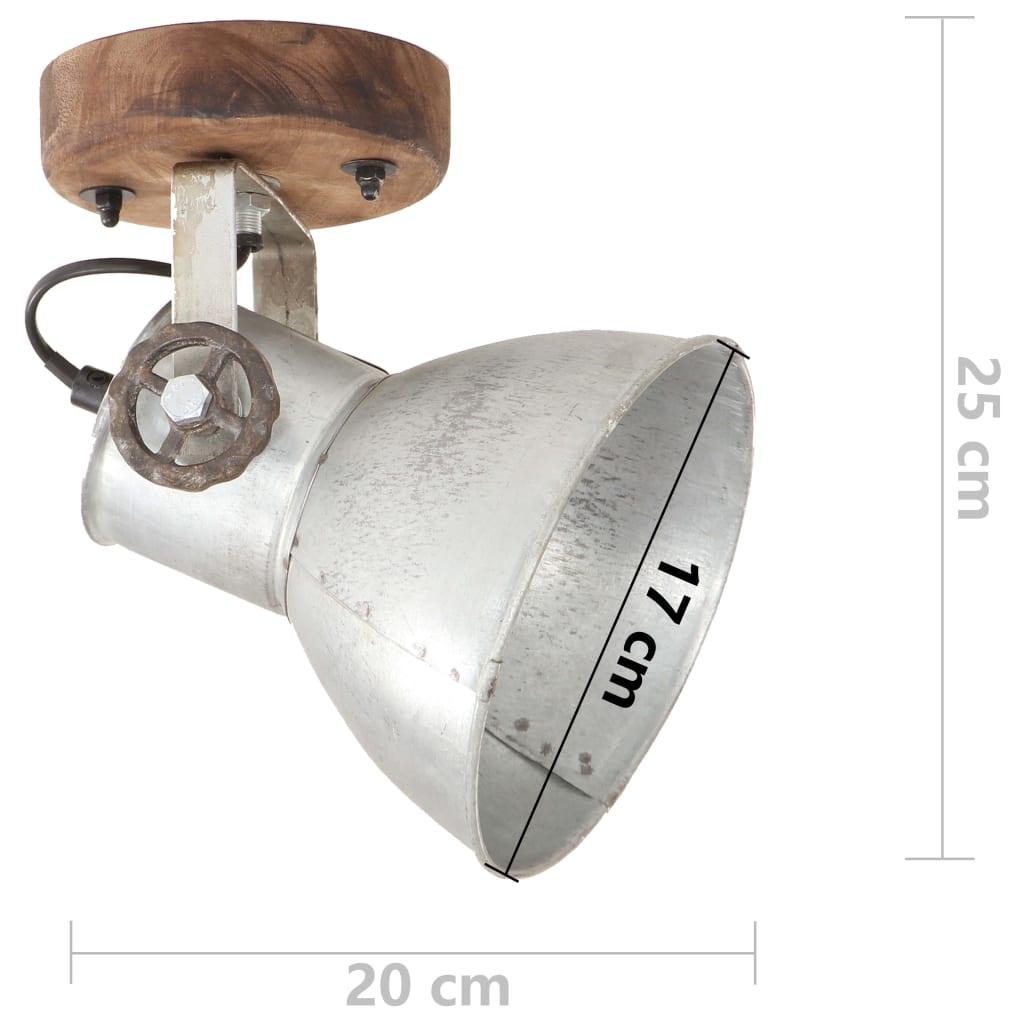 Wand-/plafondlampen industrieel 2 st E27 20x25 cm zilverkleurig 2 x enkele lamp Zilver