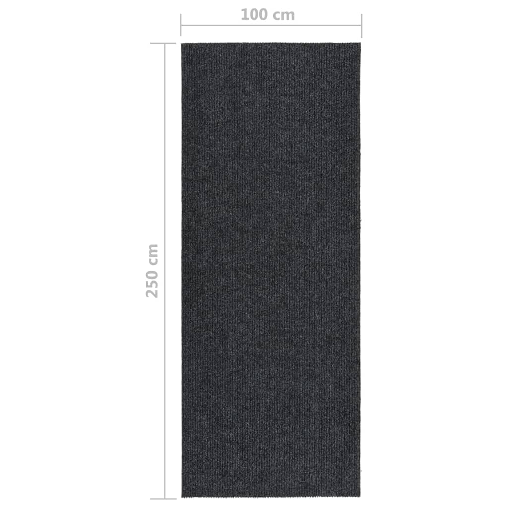 Droogloopmat Kleurig 100 x 250 cm Antraciet