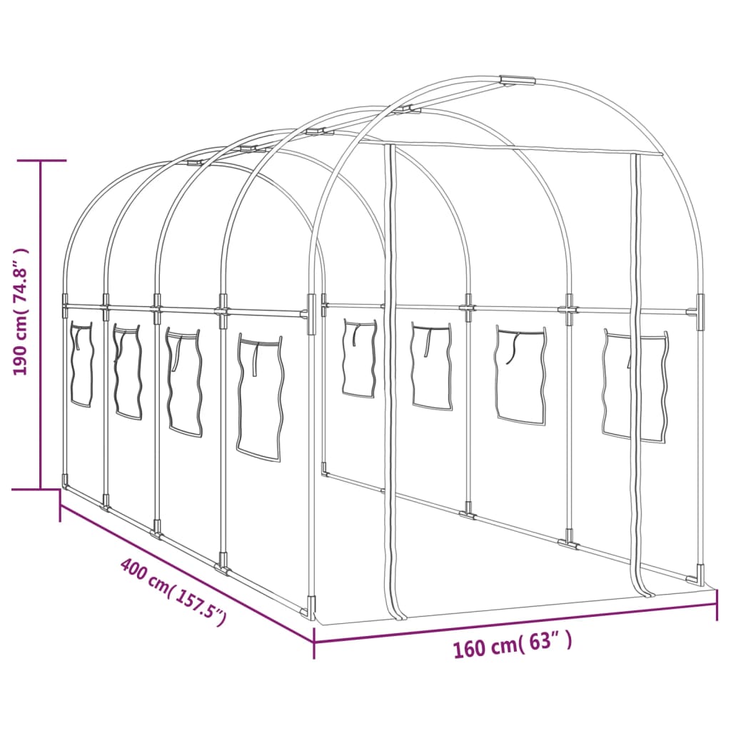 Tuinkas 160X400X190 Cm Pvc En Gepoedercoat Staal Transparant