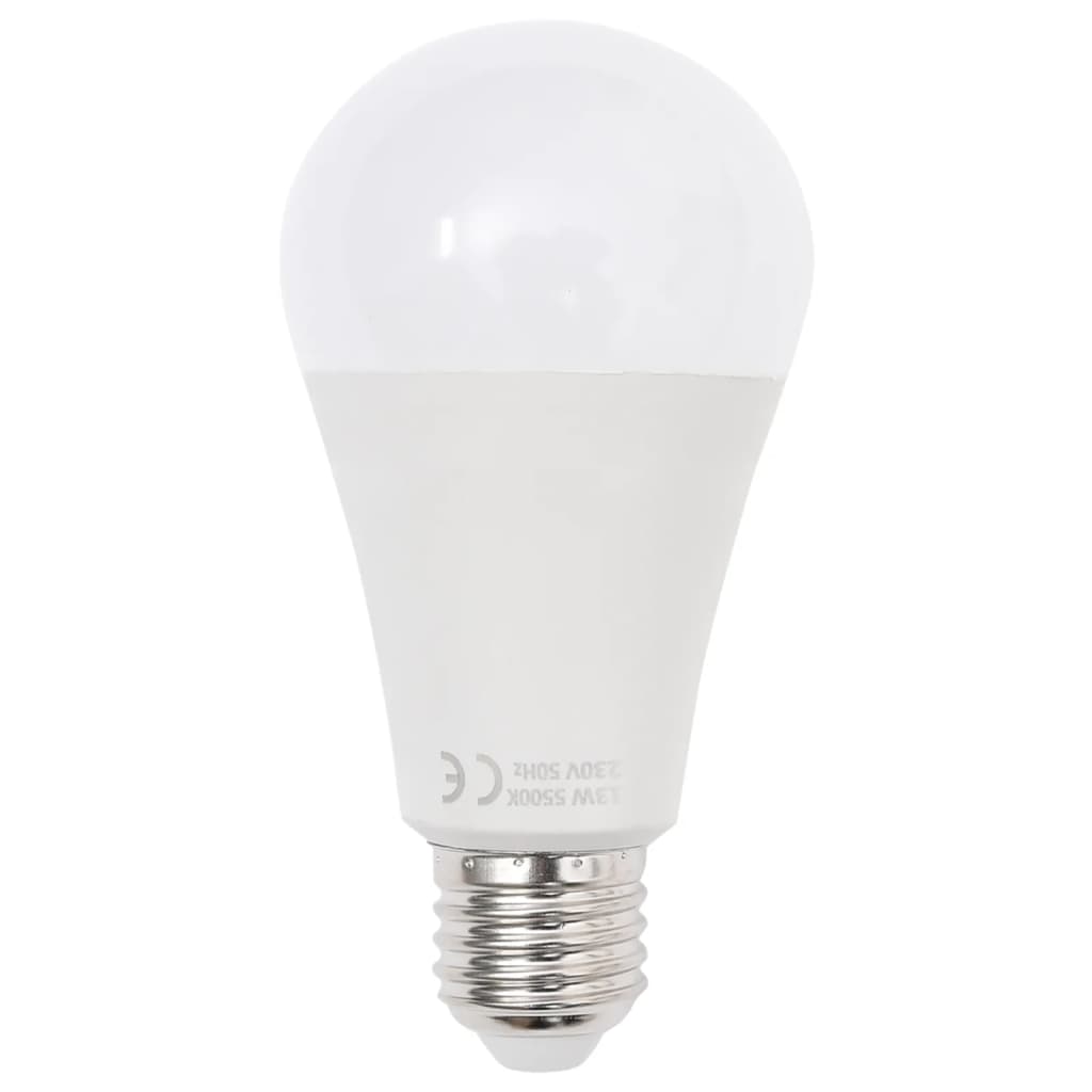 Fotostudioset Met Verlichtingsset En Achtergrond