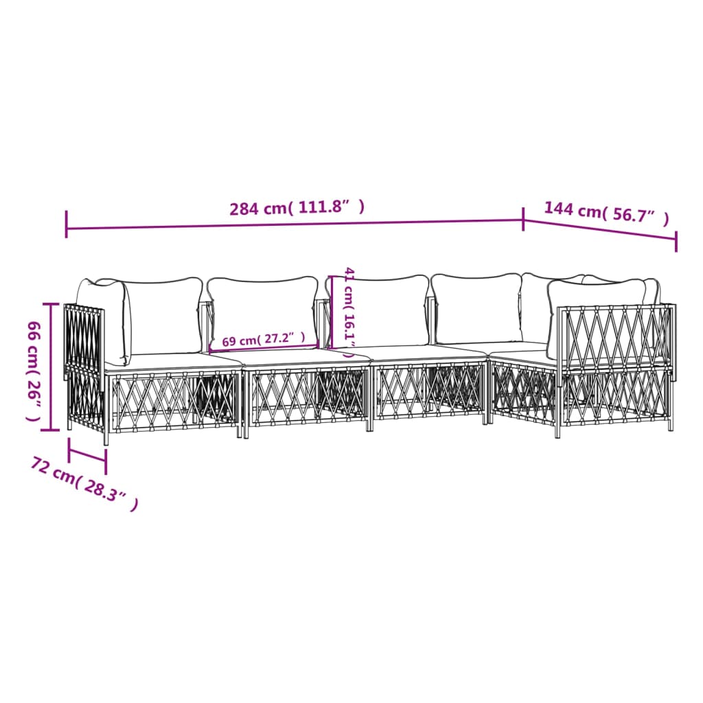 5-Delige Loungeset Met Kussens Staal Kleurig 1
