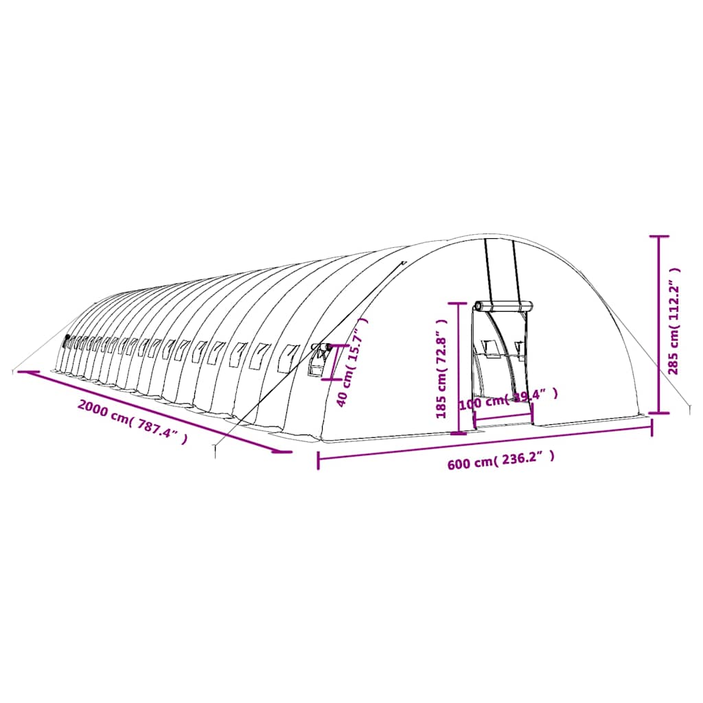Tuinkas Met Stalen Frame 120 M² 20X6X2,85 M 20 x 6 x 2.85 m