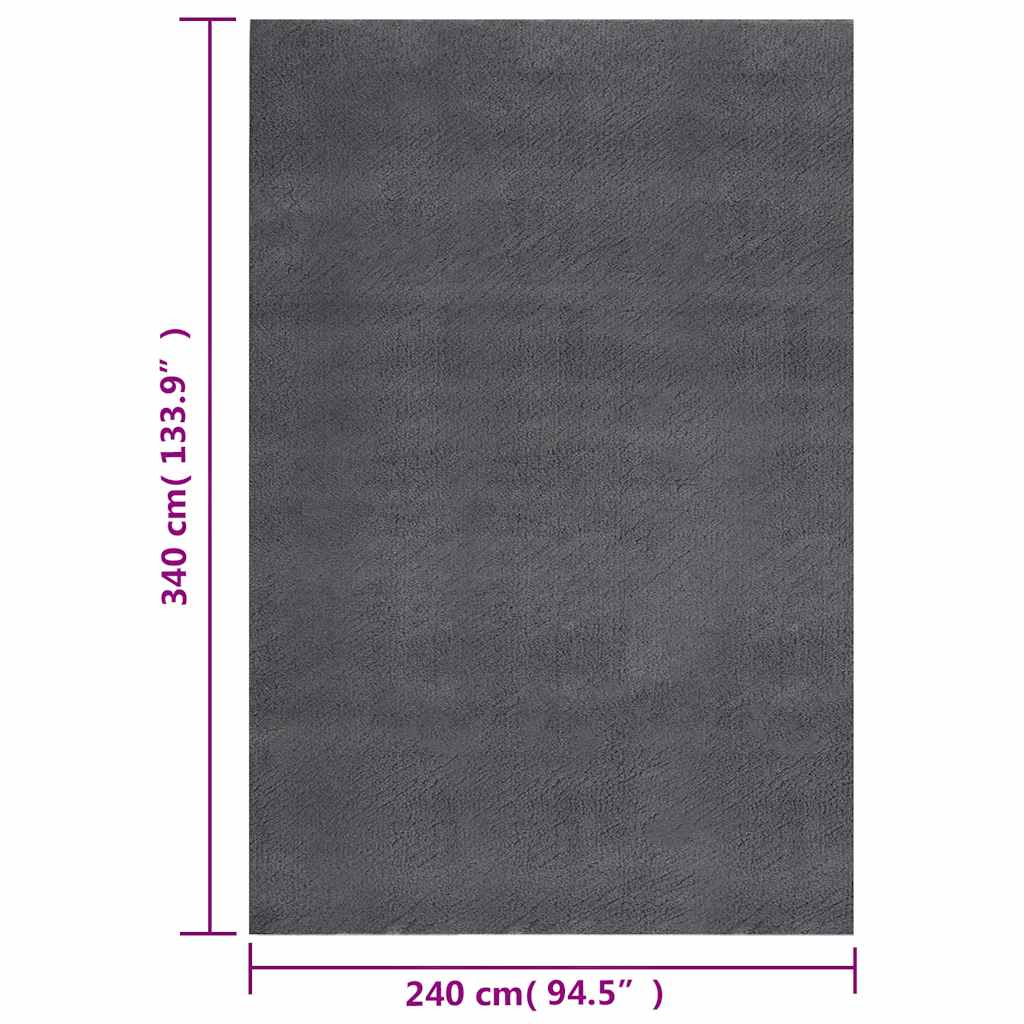 Vloerkleed shaggy antracietkleurig 240x340 cm polyester