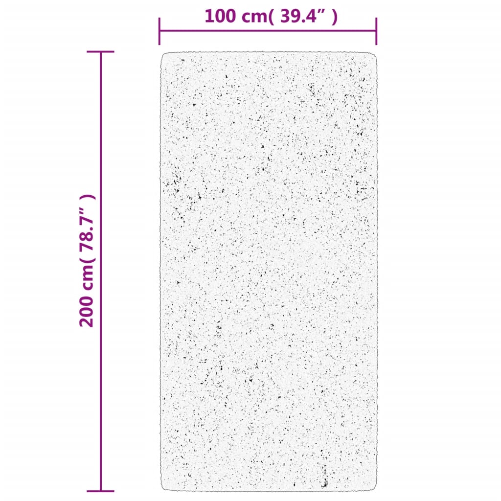 Vloerkleed IZA laagpolig Scandinavisch 100x200 cm antraciet