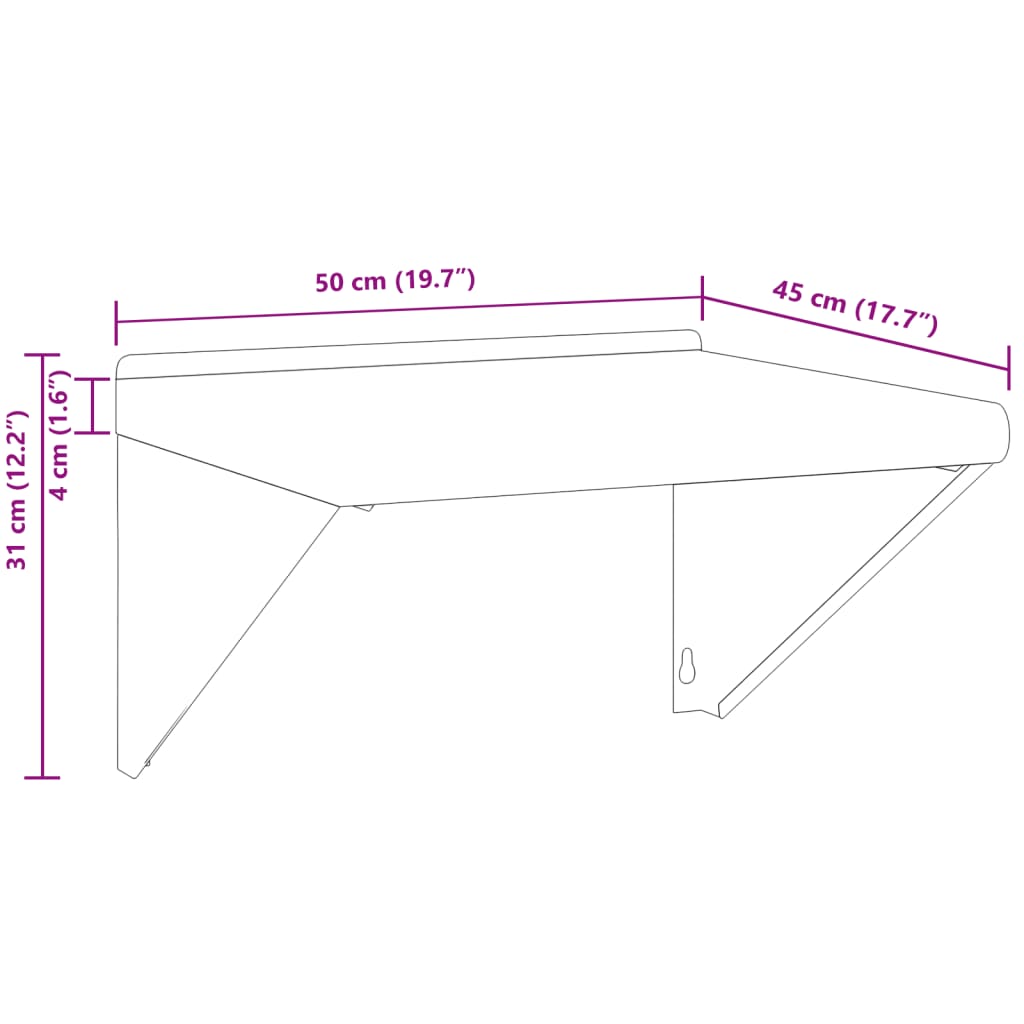 Wandschap 50x45x31 cm roestvrijstaal zilverkleurig