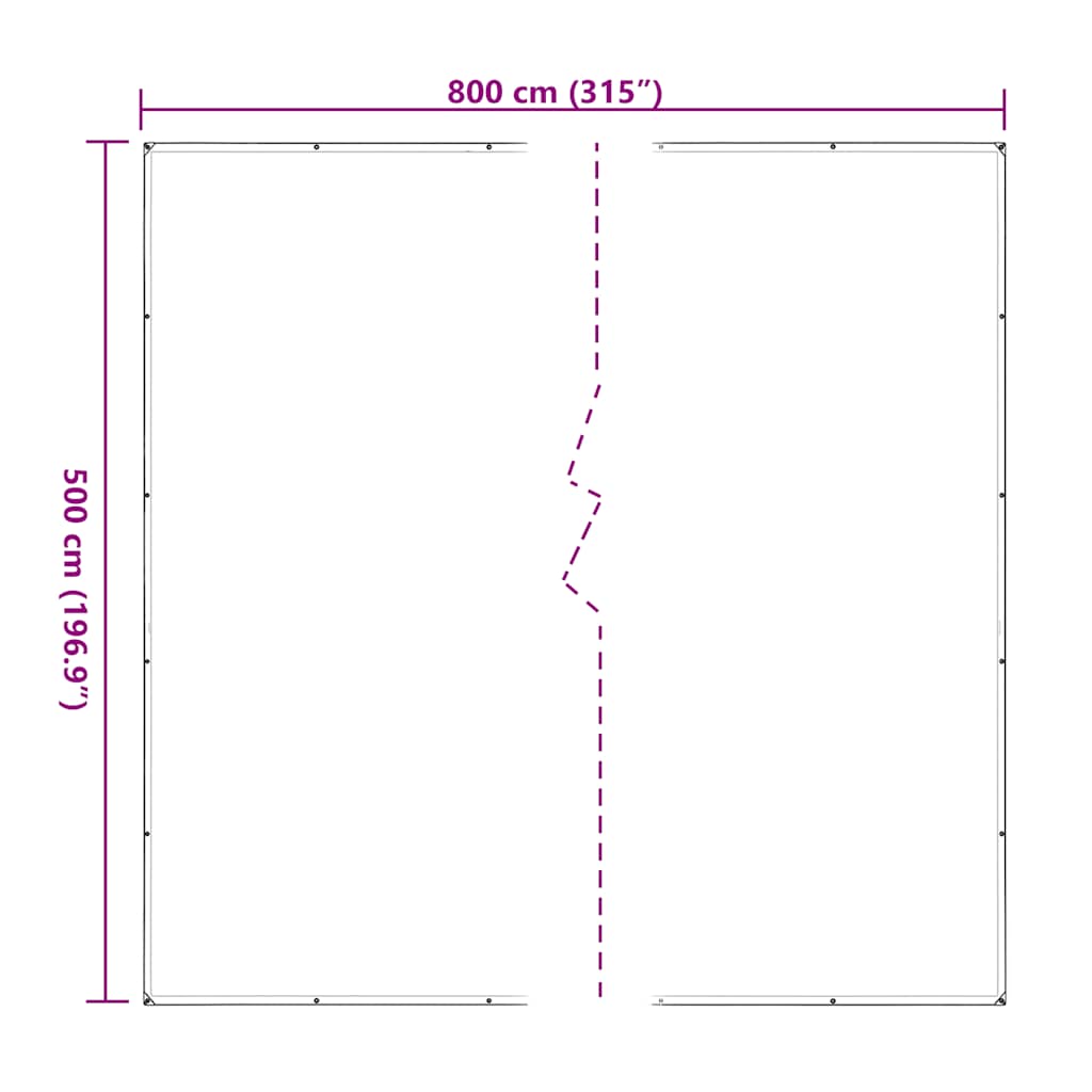 Doorzichtig zeildoek met zeilringen 5x8 m polyethyleen