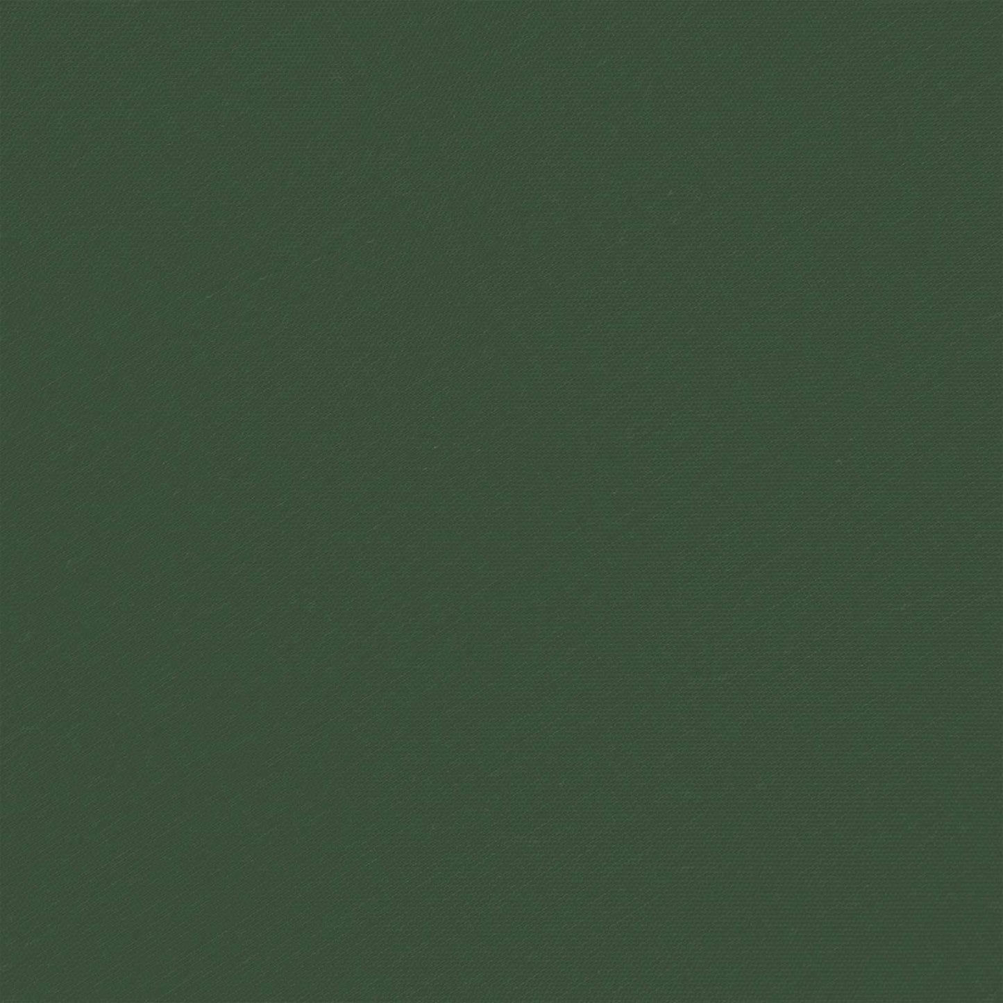 Pop-up Feesttent Groen 575 x 288 x 245 cm Oxford Stof