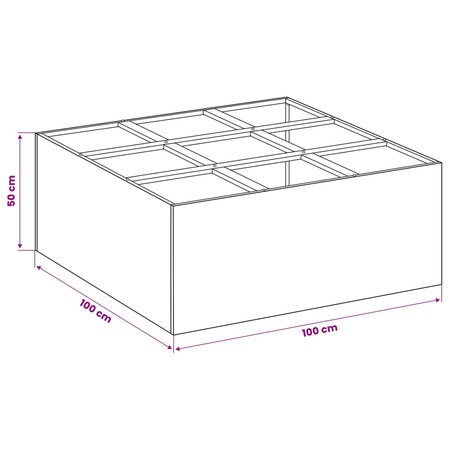 Plantenbak Zwart 100 x 100 x 50 cm Koudgewalst staal