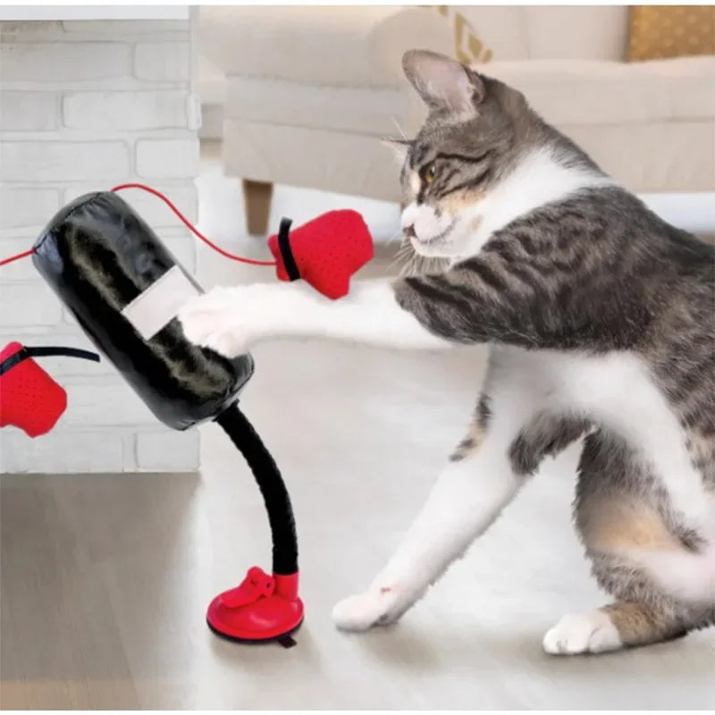 Katten bokszak interactief met zuignap