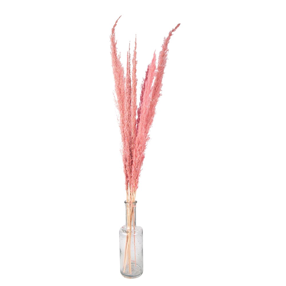 Droogboeket 100 cm roze gras