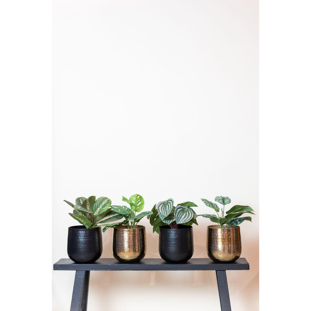 Artificial plant - Scindapsus Pictus - Lucky plant - 30 cm
