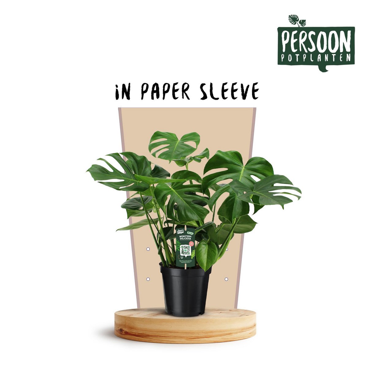 Heerlijke monstera - Ø21cm - ↕75 cm