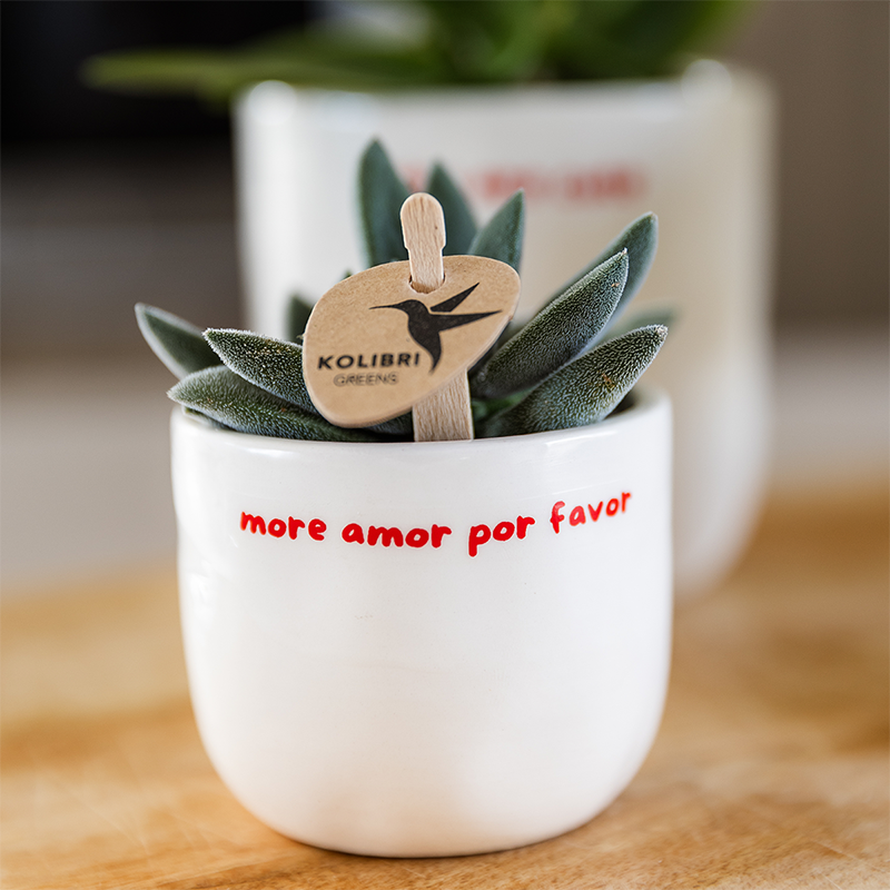 Decorative Pot White with 'To the moon and back' Text (Ø9 cm)