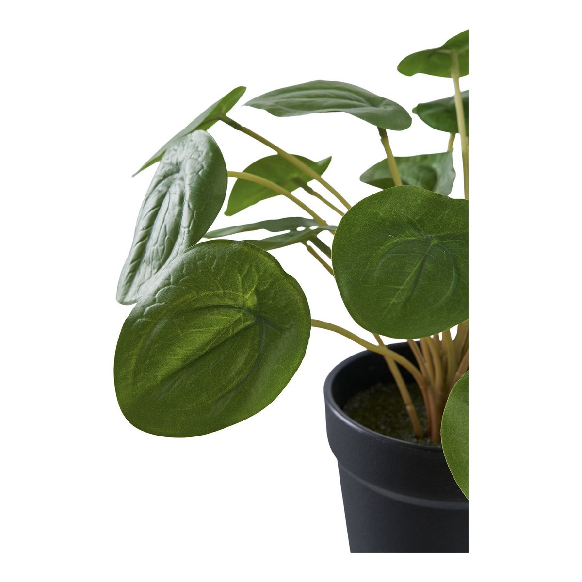 Kunstplant Pelia groen 28x28x28 cm