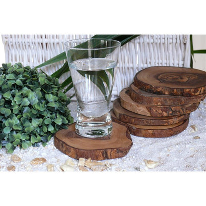 Olijfhout onderzetters rond 10-12 cm set van 12