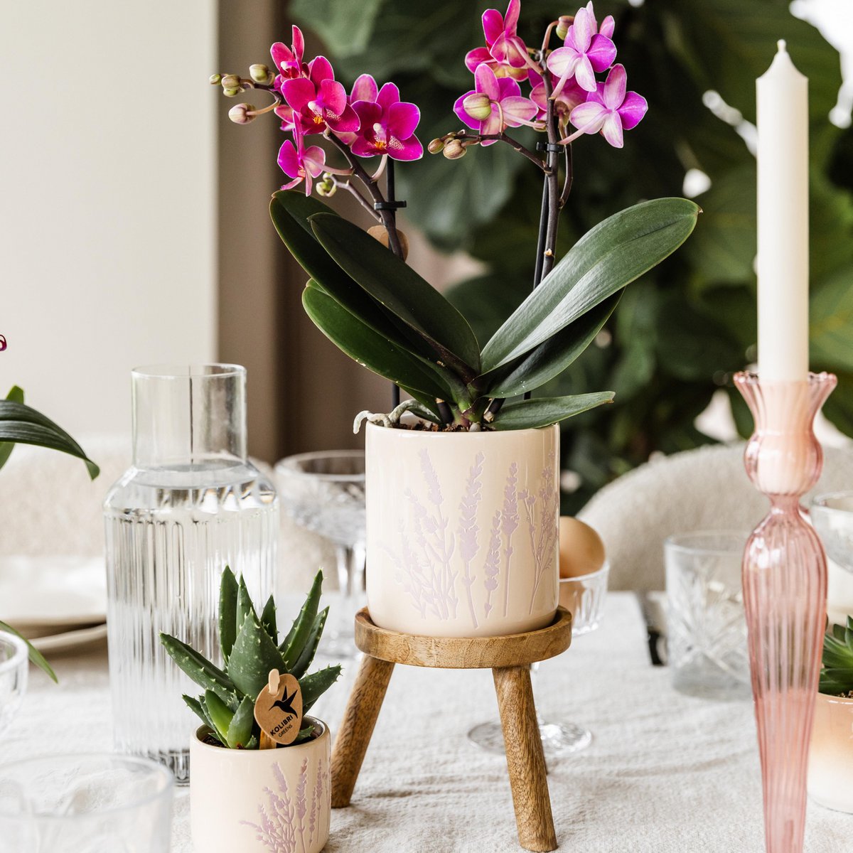 Plantenstandaard hout rond 12 cm