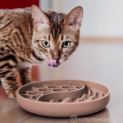 ne&no® Anti-Slopping Feeding Bowl for Dogs and Cats
