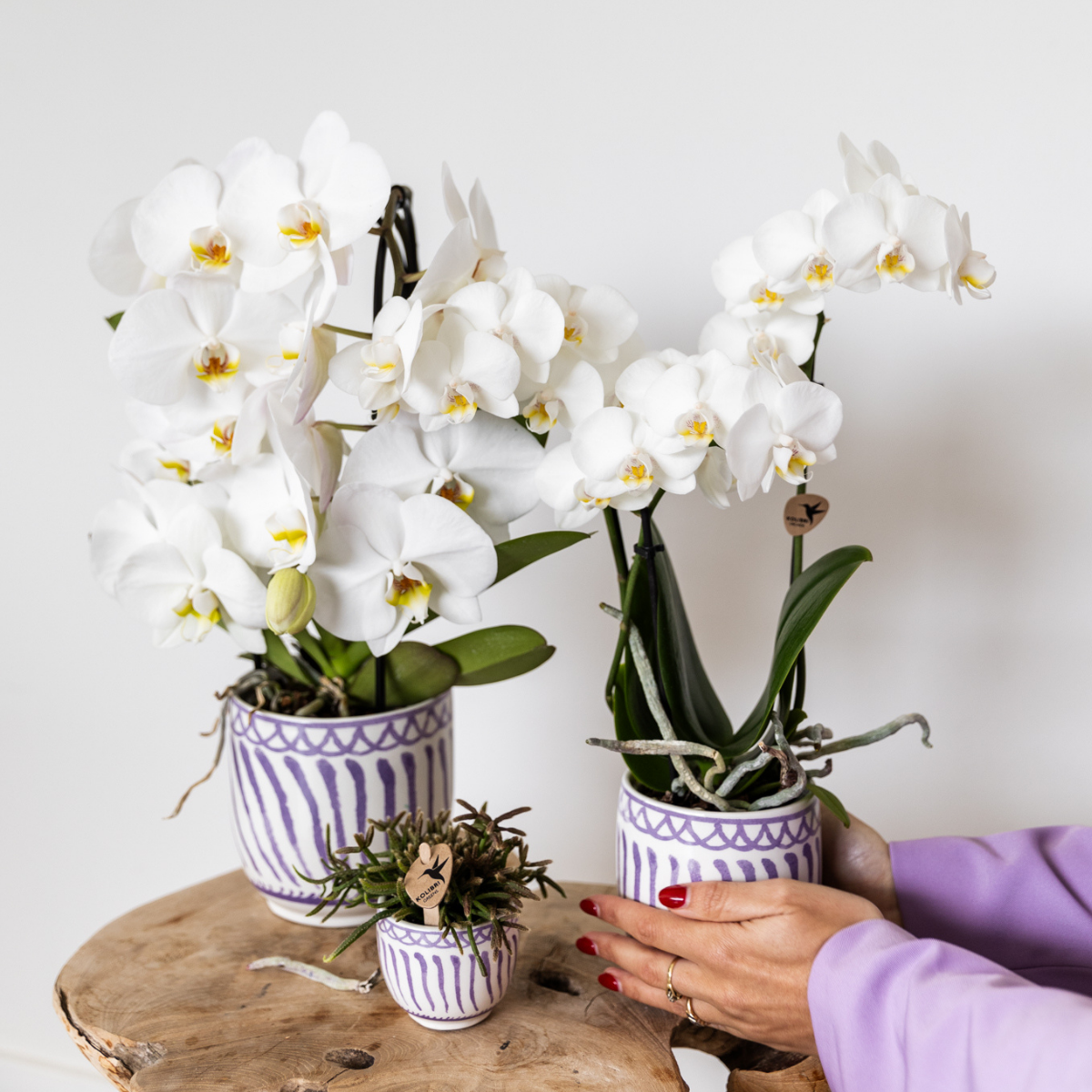 Sierpot keramiek Ø9 cm lilac