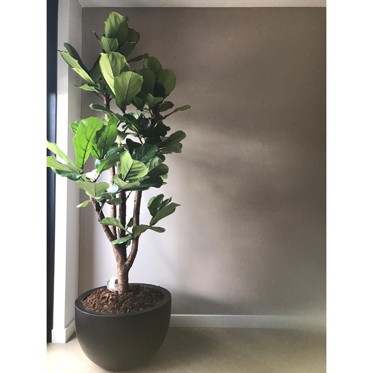 Plantenpot fiberstone zwart Ø45xH28 cm