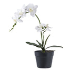 Kunstplant orchidee groen wit 49 cm