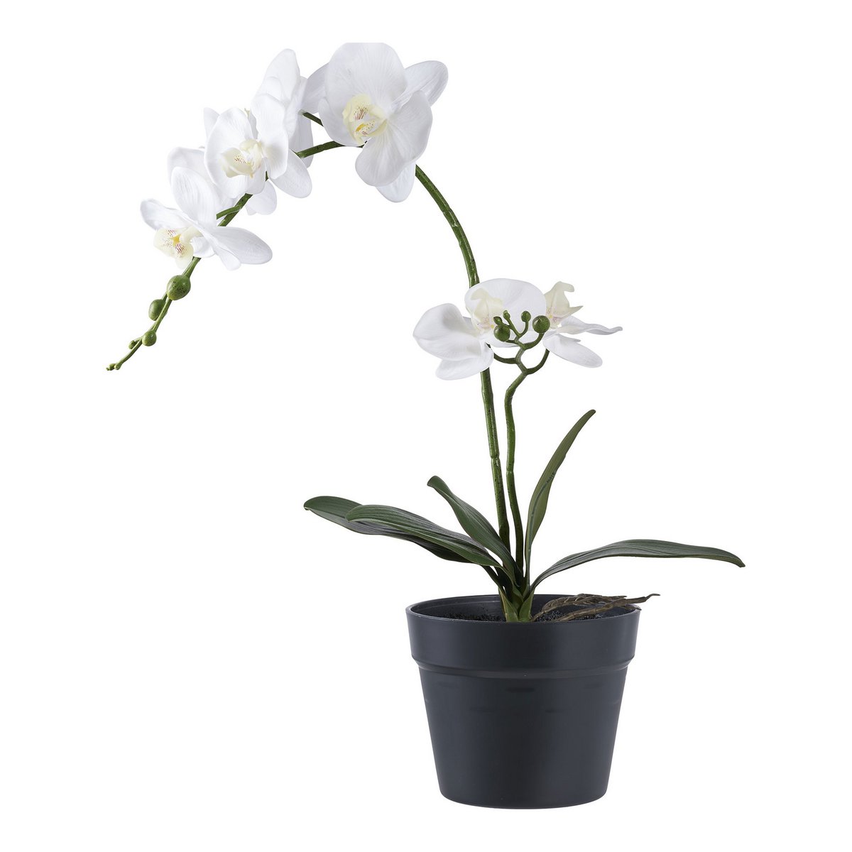 Kunstplant orchidee groen wit 49 cm