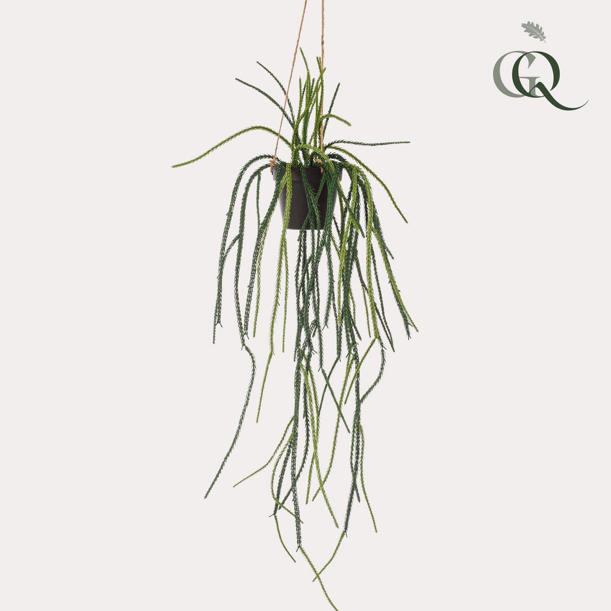 Kunstplant Rhypsalis Koraalcactus 85 cm