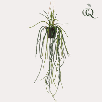 Kunstplant Rhypsalis Koraalcactus 85 cm