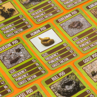 Kwartetspel Power-Poo 40 kaarten Engels