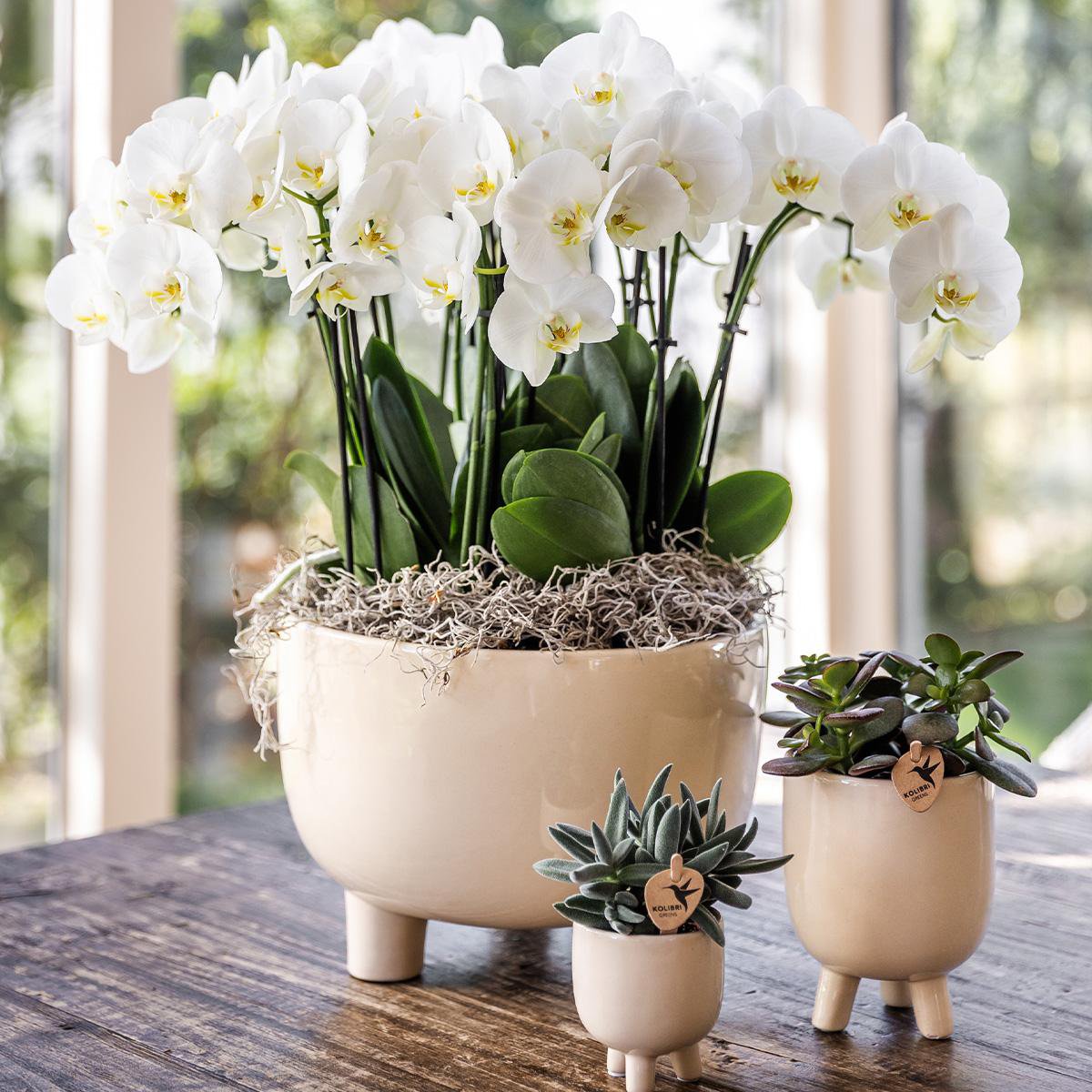 Plantenpot keramiek Ø6x7 cm travertine