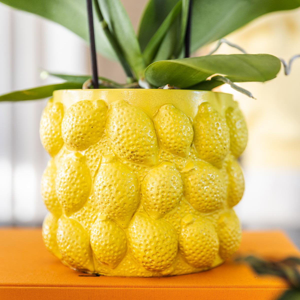 Gele Keramieken Plantenpot Ø9 cm