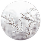 Wall circle snowy twig