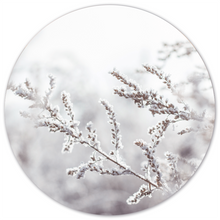Muurcirkel snowy twig Dibond/Forex Ø 12-140 cm