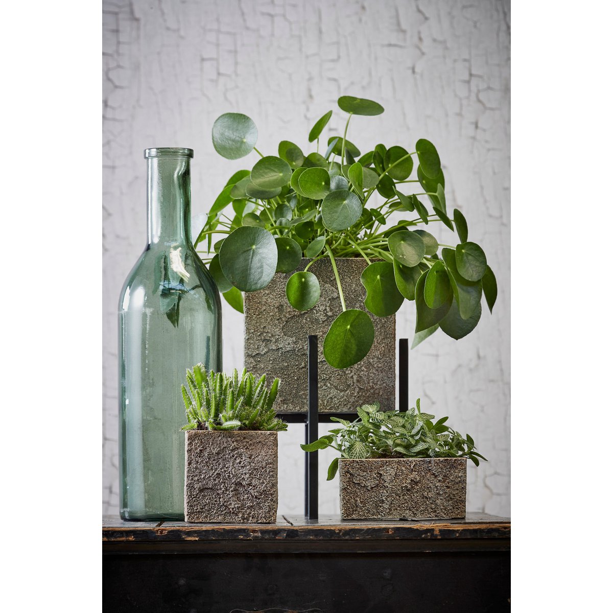 Decoratieve fles Rioja Grijs