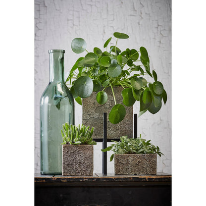 Decoratieve fles Rioja Grijs