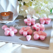Waxmelts kersenbloesem 6 stuks koolzaadwas