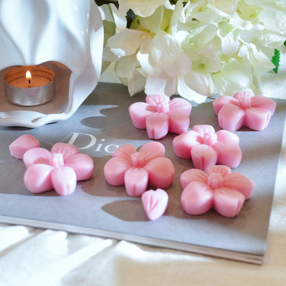 Waxmelts kersenbloesem 6 stuks koolzaadwas