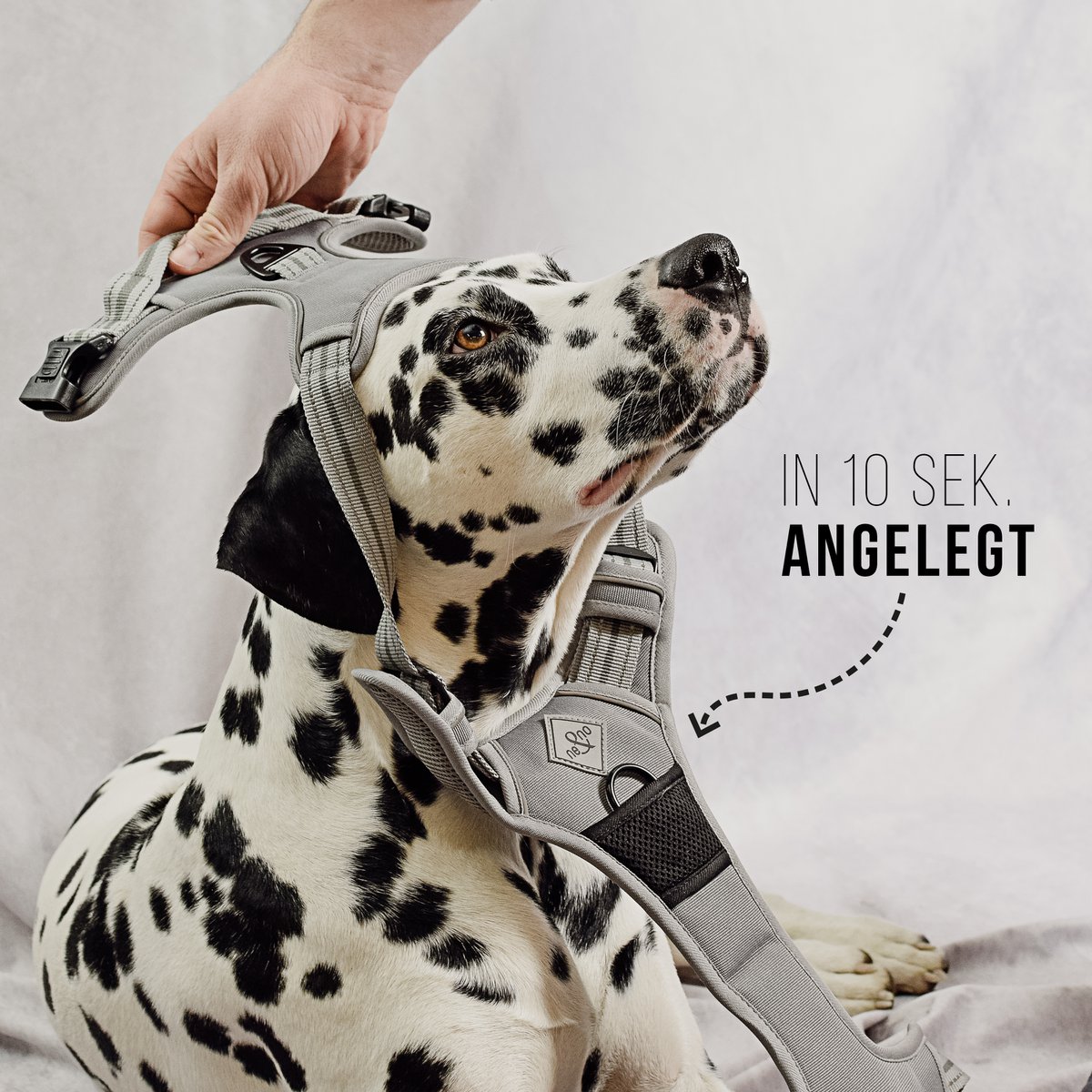 ne&no® Dog Harness with Matching Shock Absorber [DEVELOPED by NE&NO]