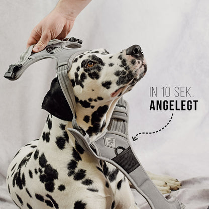 ne&no® Dog Harness with Matching Shock Absorber [DEVELOPED by NE&NO]