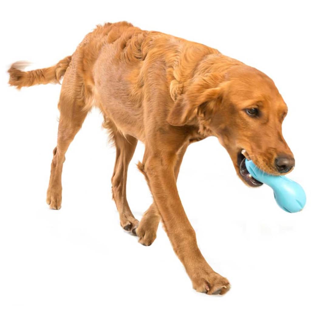 Zogoflex Hondenpuzzel Speelgoed Qwizl Blauw Maat L 3540