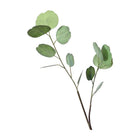 Decoratieve eucalyptus tak H65cm kunststof