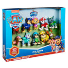 Paw Patrol Gift Set 10 Figures